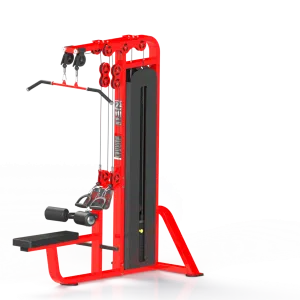 LAT PULL DOWN WITH ROWING DOUBLE PULLEY