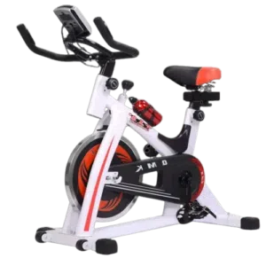 Domestic Spinning Bike