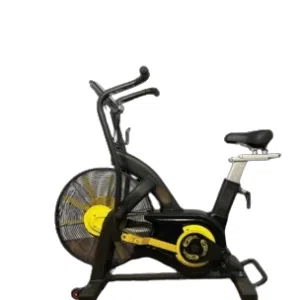 Commercial Air Bike