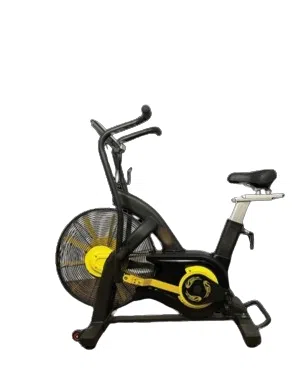 Commercial Air Bike