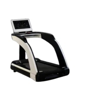 Commercial Treadmill (New Monster)
