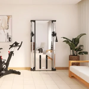 Real Swiss Wall-Mounted Functional Trainer - Double Stack