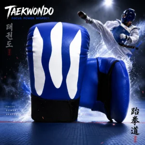 Taekwondo Gloves
